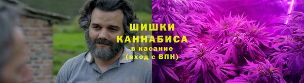 альфа пвп Заводоуковск