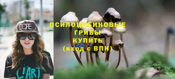 альфа пвп Инсар