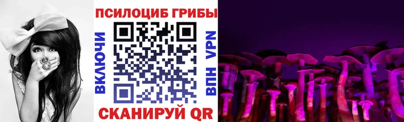 Псилоцибиновые грибы мицелий  Жуковский 